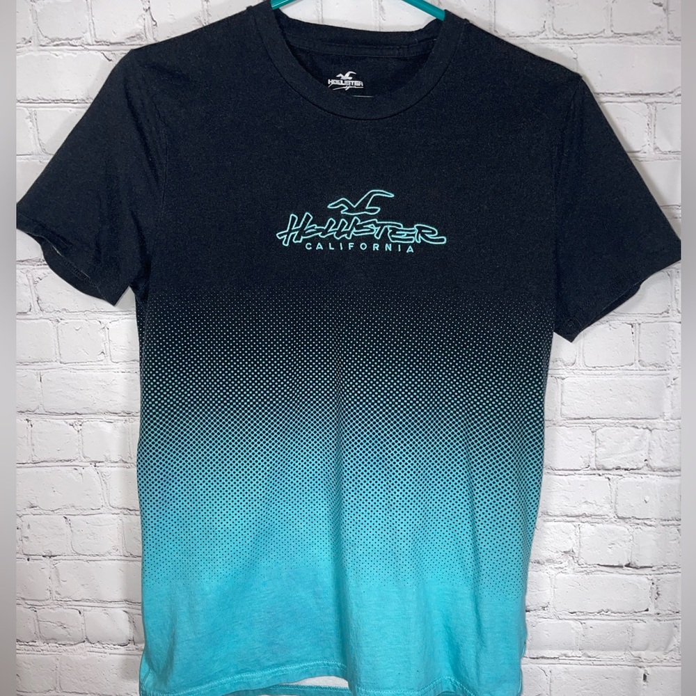 Hollister California Men’s Logo Crewneck T-Shirt Blue